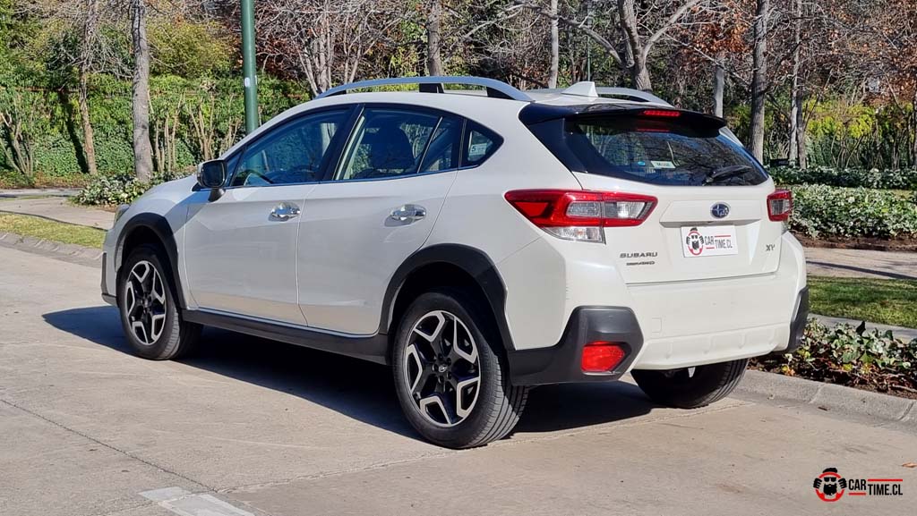 2021xv19