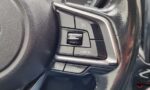 ForesterSubaru14